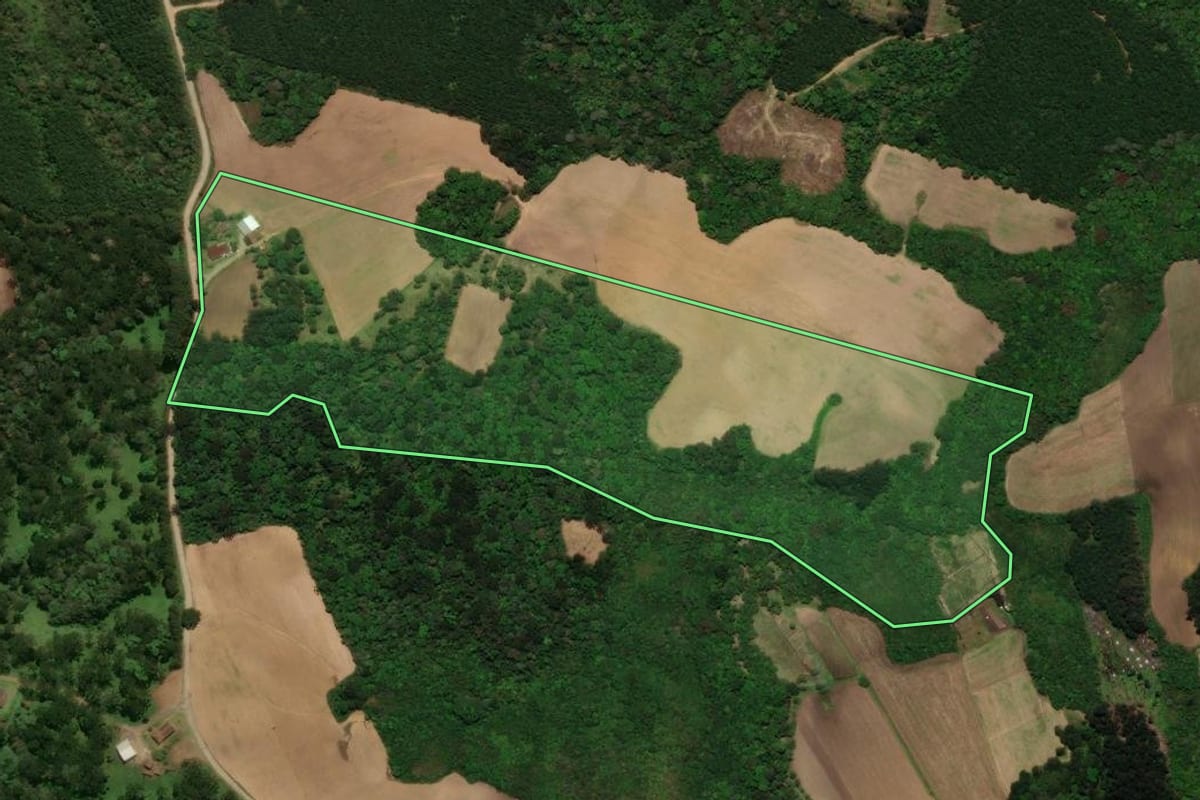 Imagem de satélite do imóvel rural em Campo Alegre (SC), com o contorno declarado no CAR desenhado por cima.