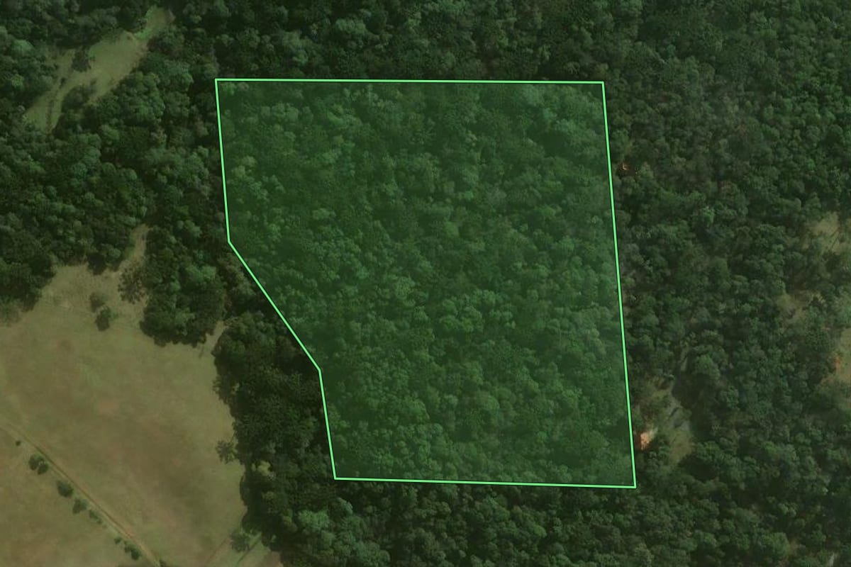 Imagem de satélite do imóvel rural em Campo Alegre (SC), com o contorno declarado no CAR desenhado por cima.