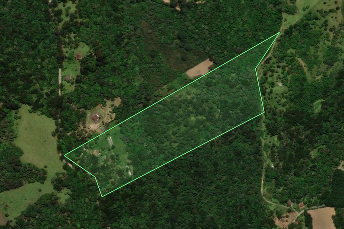 Imagem de satélite do imóvel rural em Campo Alegre (SC), com o contorno declarado no CAR desenhado por cima.