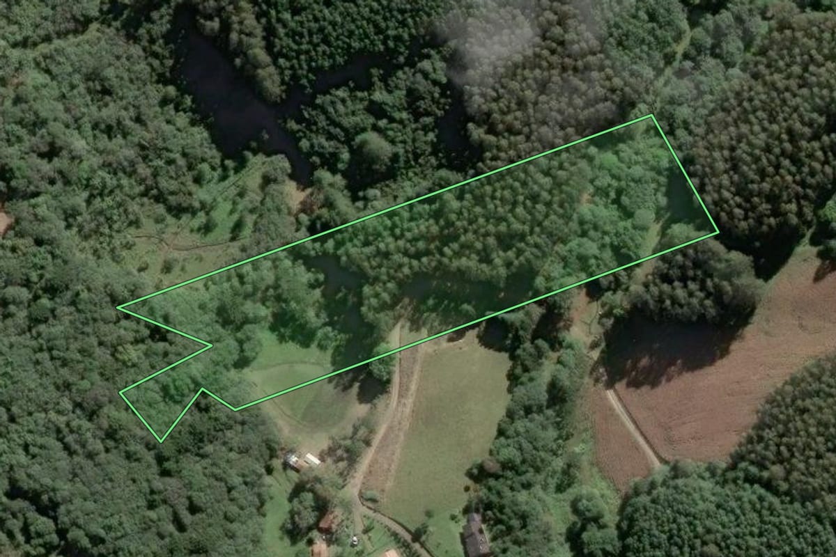 Imagem de satélite do imóvel rural em Campo Alegre (SC), com o contorno declarado no CAR desenhado por cima.