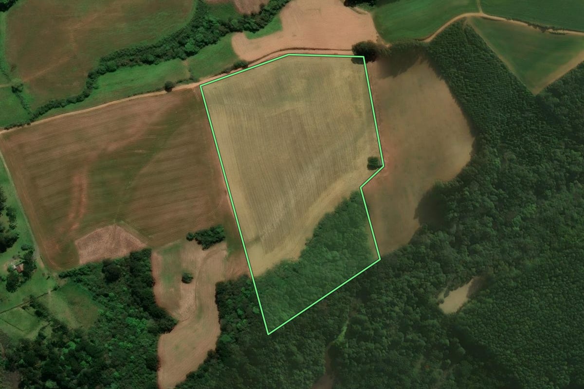 Imagem de satélite do imóvel rural em Campo Alegre (SC), com o contorno declarado no CAR desenhado por cima.