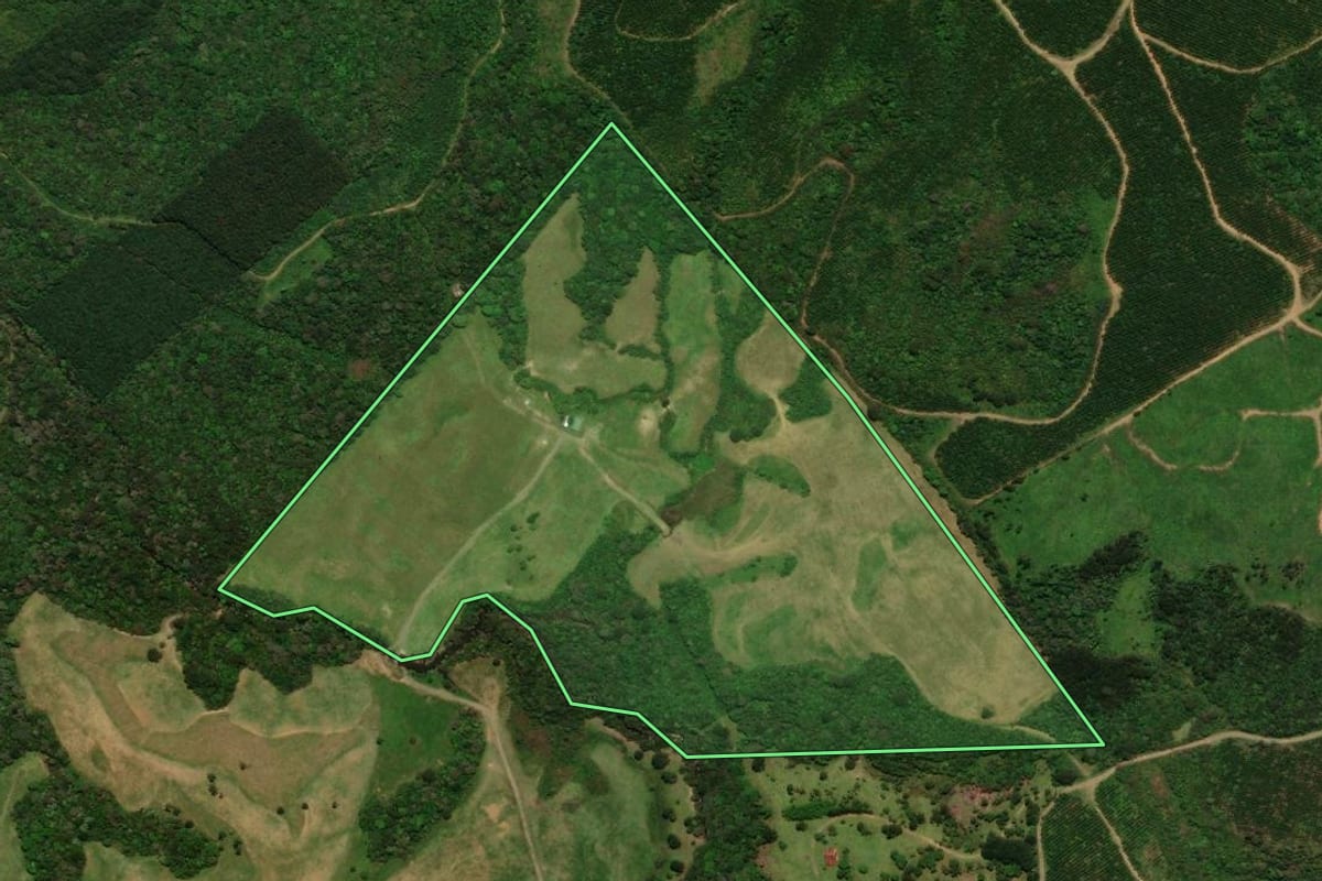 Imagem de satélite do imóvel rural em Campo Alegre (SC), com o contorno declarado no CAR desenhado por cima.