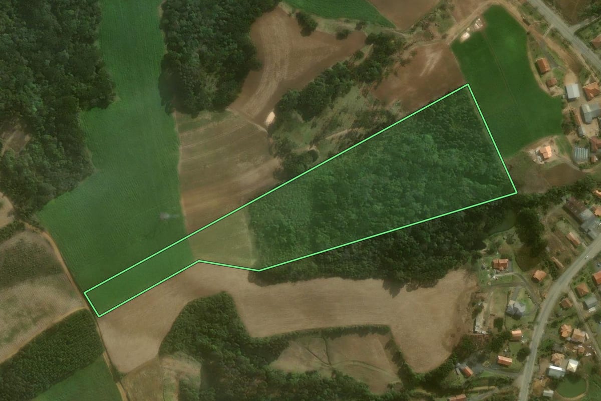 Imagem de satélite do imóvel rural em Campo Alegre (SC), com o contorno declarado no CAR desenhado por cima.
