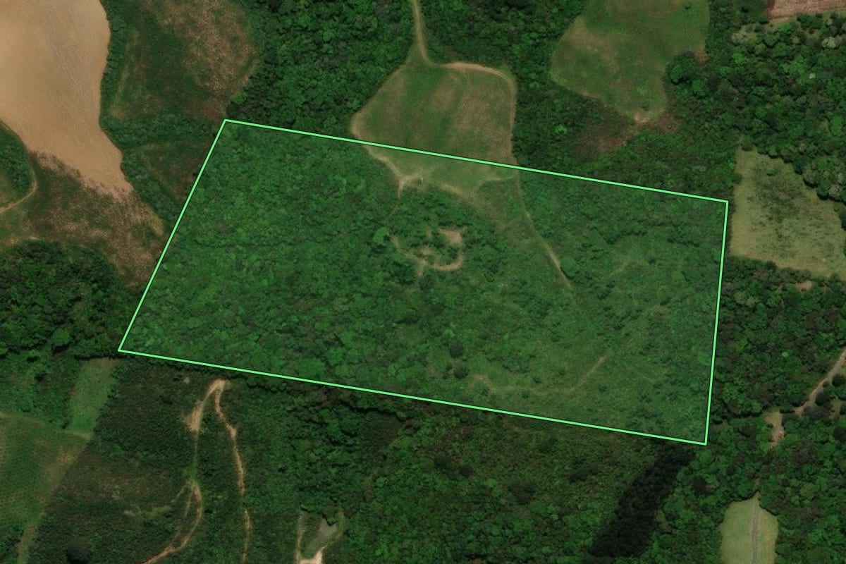 Imagem de satélite do imóvel rural em Campo Alegre (SC), com o contorno declarado no CAR desenhado por cima.