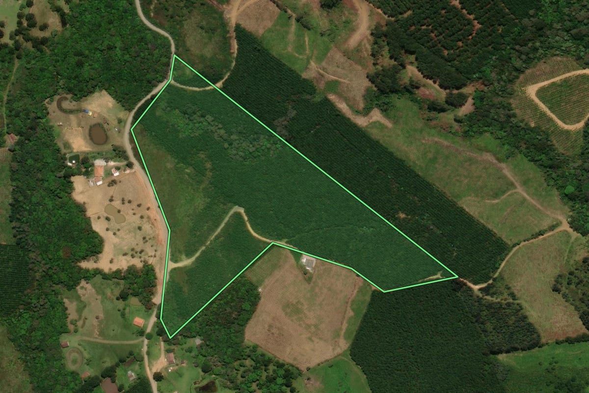 Imagem de satélite do imóvel rural em Campo Alegre (SC), com o contorno declarado no CAR desenhado por cima.
