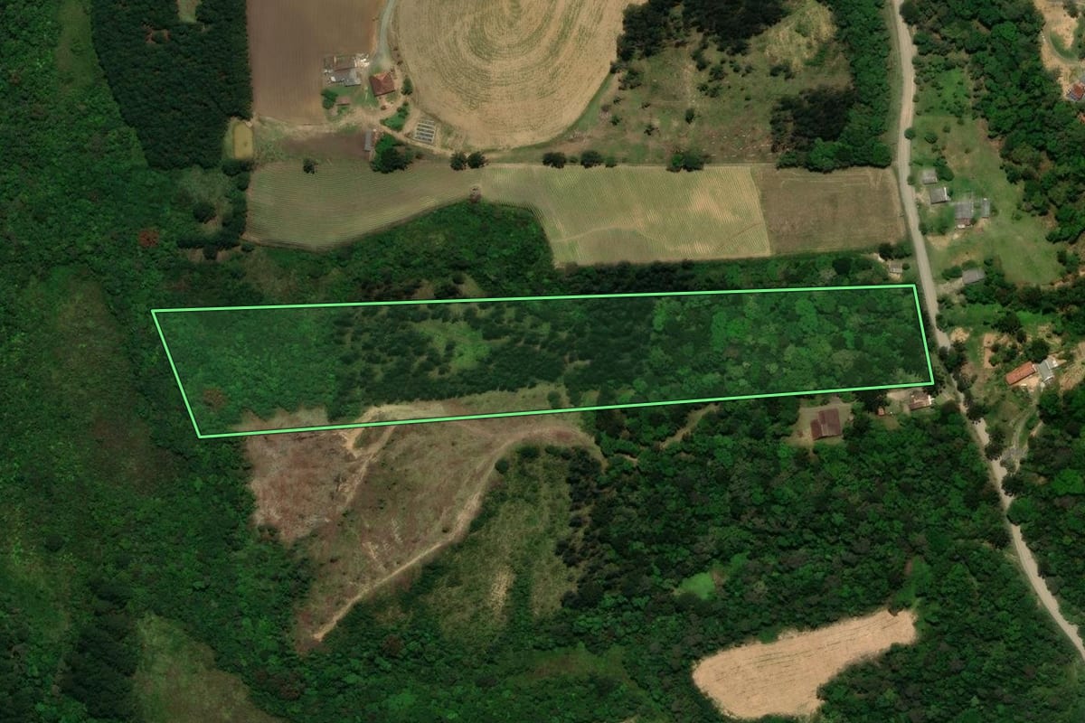 Imagem de satélite do imóvel rural em Campo Alegre (SC), com o contorno declarado no CAR desenhado por cima.