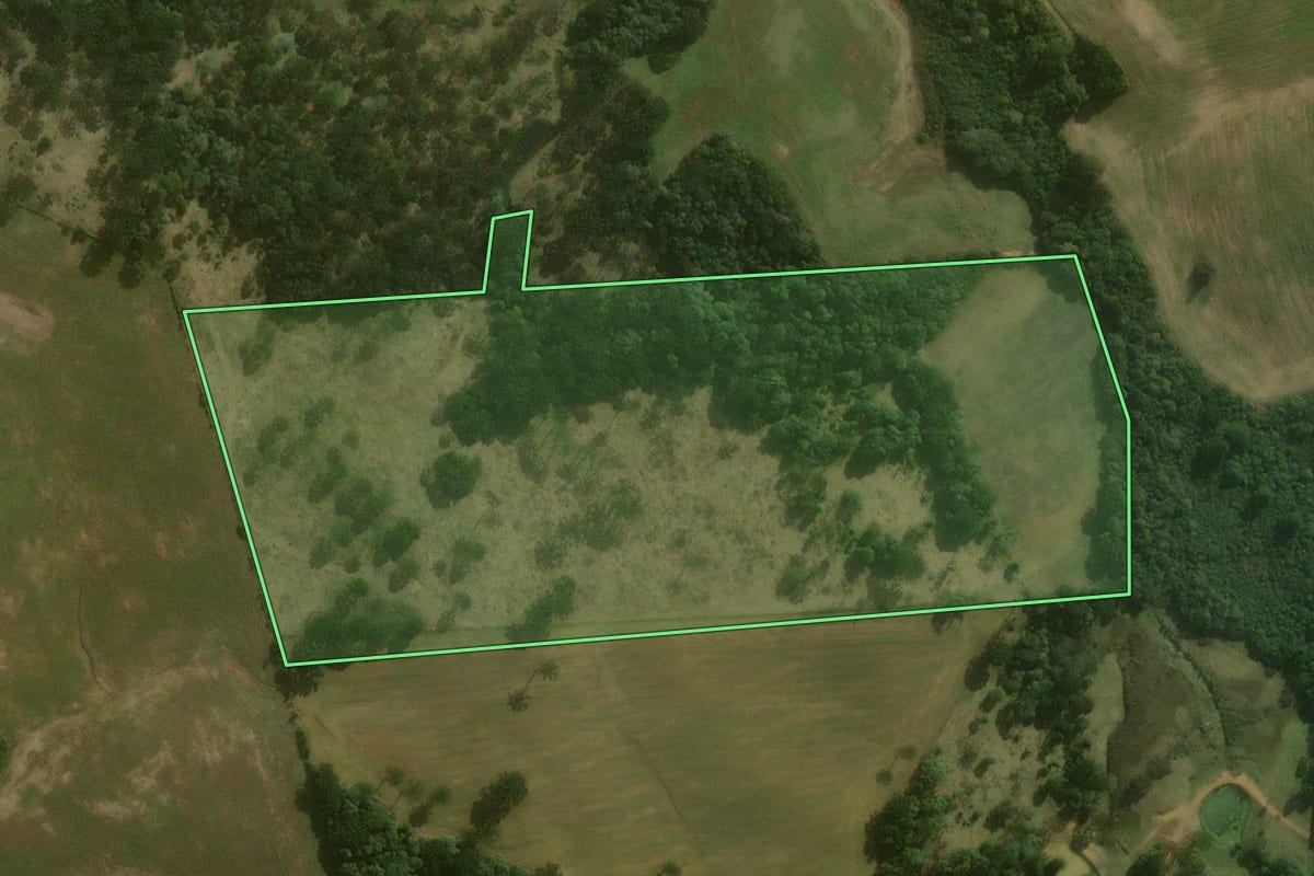 Imagem de satélite do imóvel rural em Campo Alegre (SC), com o contorno declarado no CAR desenhado por cima.