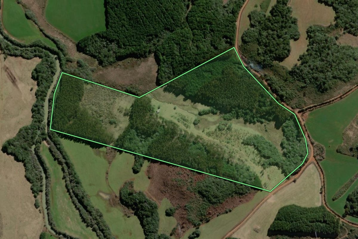 Imagem de satélite do imóvel rural em Campo Belo do Sul (SC), com o contorno declarado no CAR desenhado por cima.