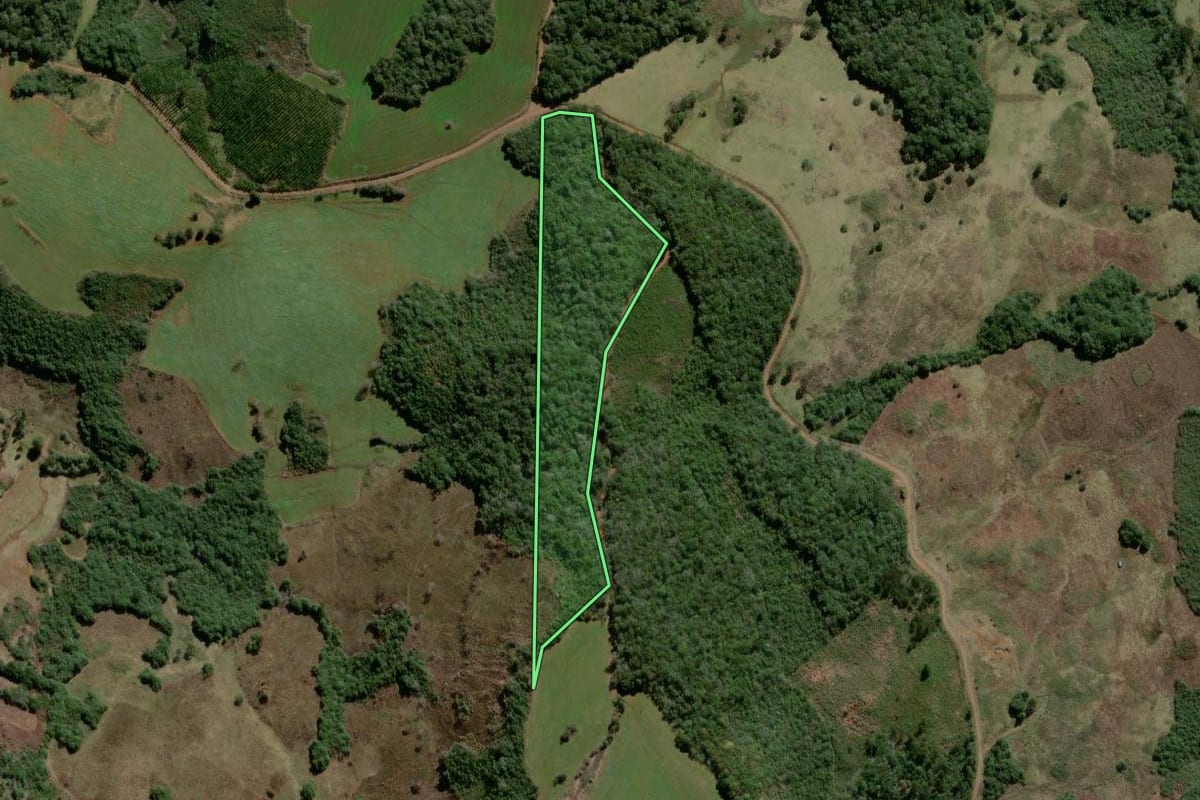 Imagem de satélite do imóvel rural em Campo Belo do Sul (SC), com o contorno declarado no CAR desenhado por cima.