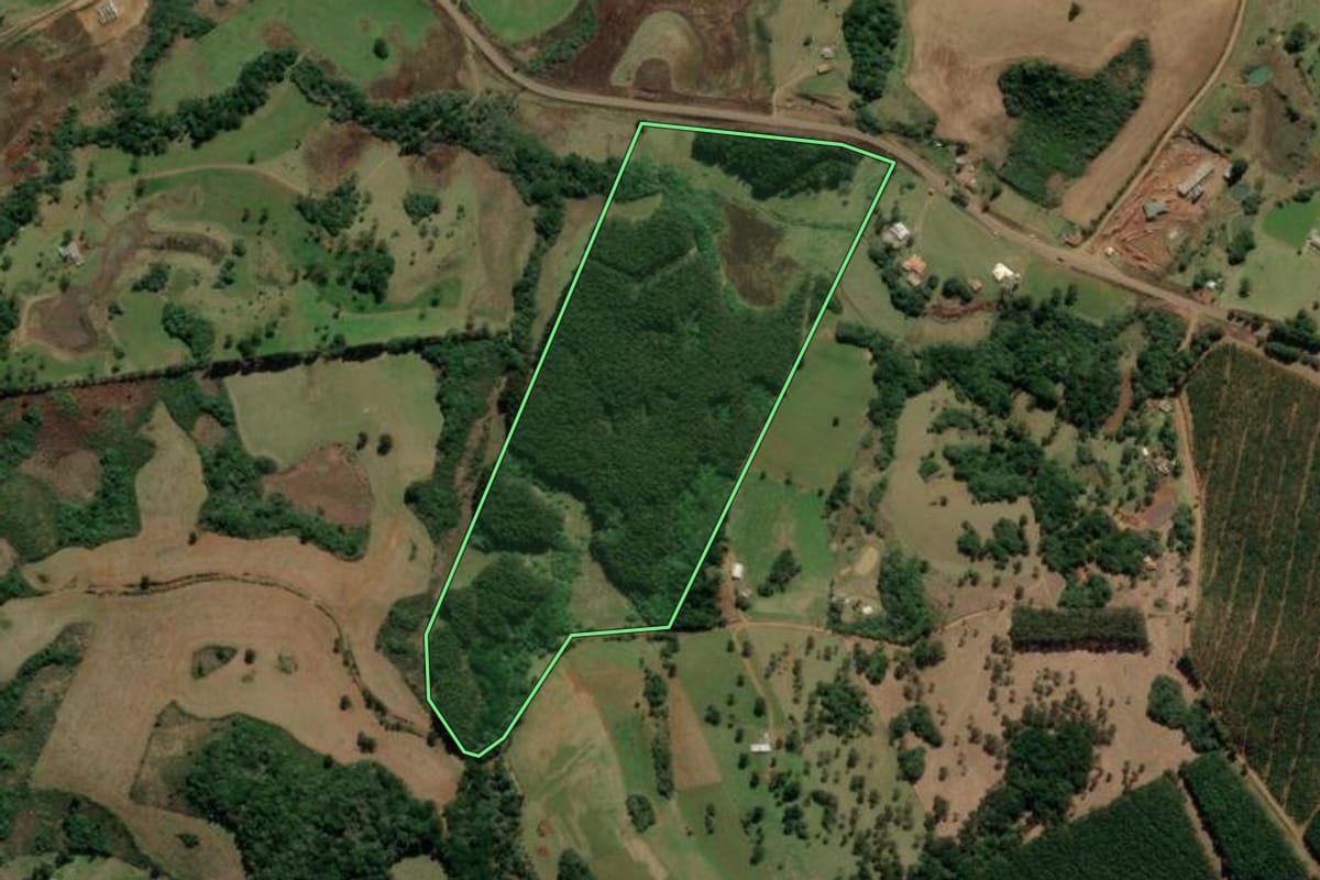 Imagem de satélite do imóvel rural em Campo Belo do Sul (SC), com o contorno declarado no CAR desenhado por cima.