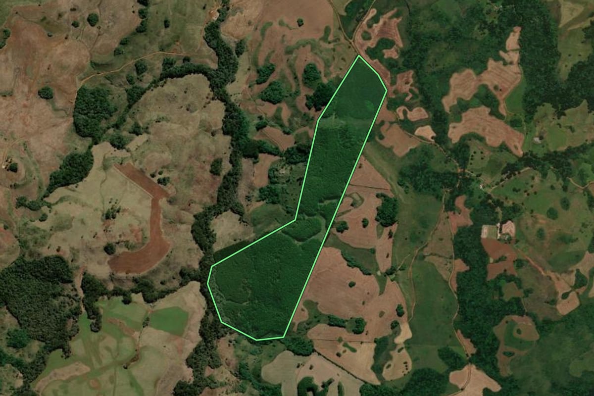 Imagem de satélite do imóvel rural em Campo Belo do Sul (SC), com o contorno declarado no CAR desenhado por cima.