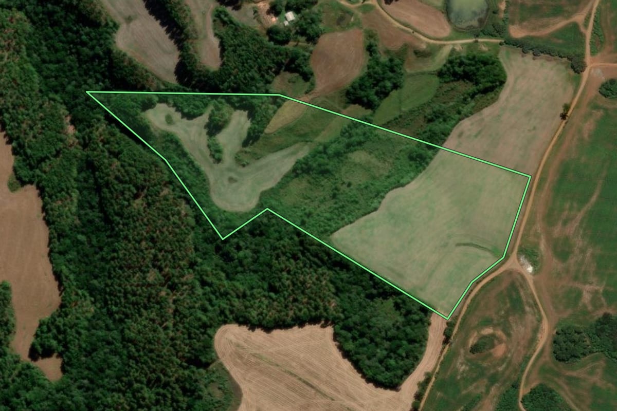 Imagem de satélite do imóvel rural em Campo Belo do Sul (SC), com o contorno declarado no CAR desenhado por cima.
