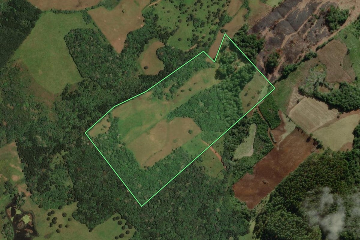 Imagem de satélite do imóvel rural em Campo Belo do Sul (SC), com o contorno declarado no CAR desenhado por cima.