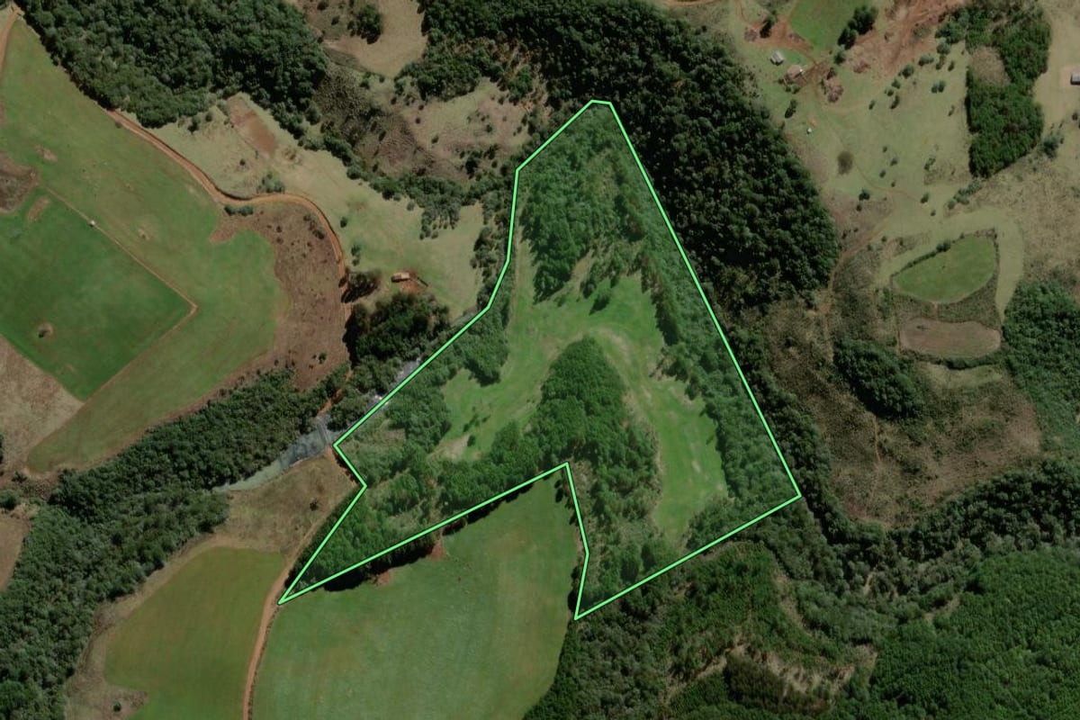 Imagem de satélite do imóvel rural em Campo Belo do Sul (SC), com o contorno declarado no CAR desenhado por cima.