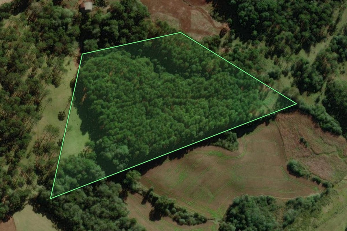 Imagem de satélite do imóvel rural em Campo Belo do Sul (SC), com o contorno declarado no CAR desenhado por cima.