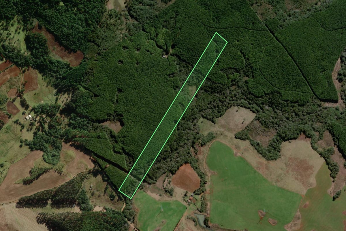 Imagem de satélite do imóvel rural em Campo Belo do Sul (SC), com o contorno declarado no CAR desenhado por cima.