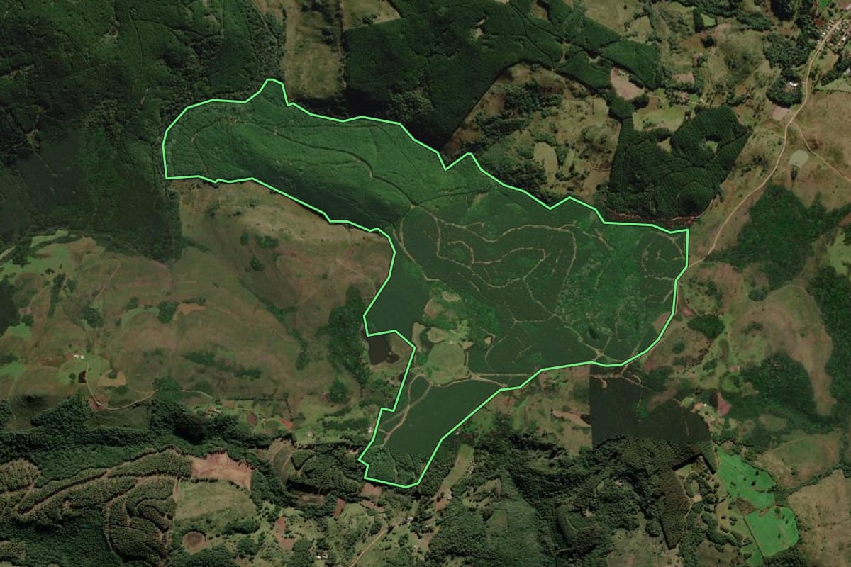 Imagem de satélite do imóvel rural em Campo Belo do Sul (SC), com o contorno declarado no CAR desenhado por cima.