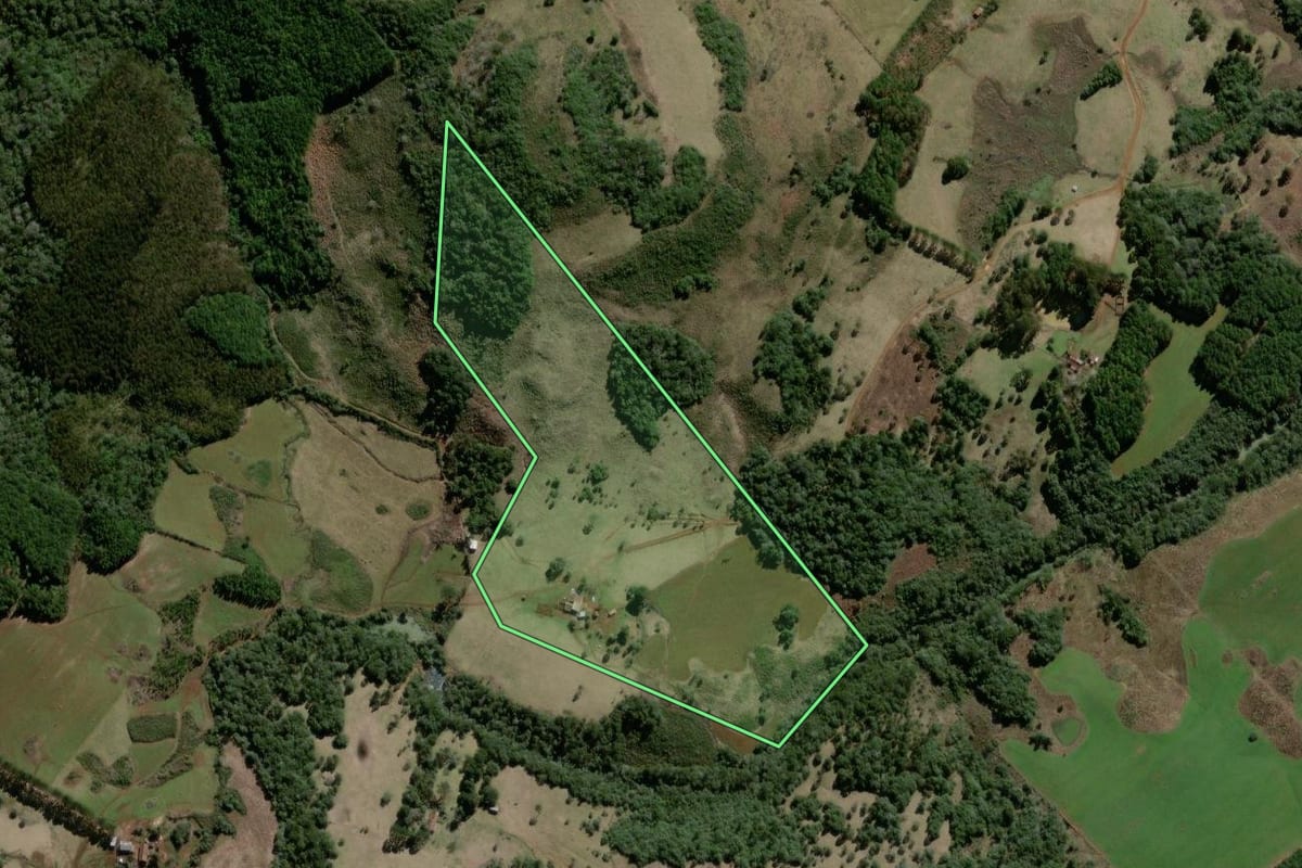 Imagem de satélite do imóvel rural em Campo Belo do Sul (SC), com o contorno declarado no CAR desenhado por cima.