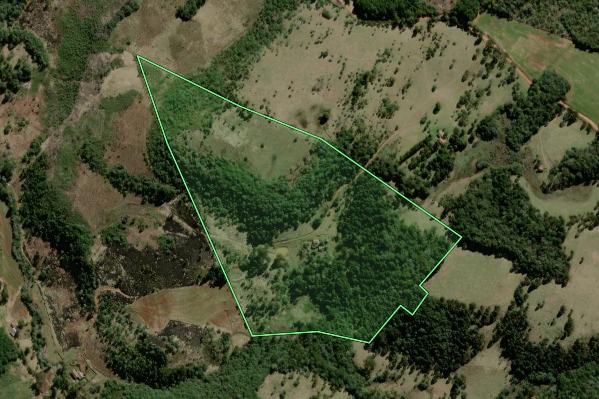 Imagem de satélite do imóvel rural em Campo Belo do Sul (SC), com o contorno declarado no CAR desenhado por cima.