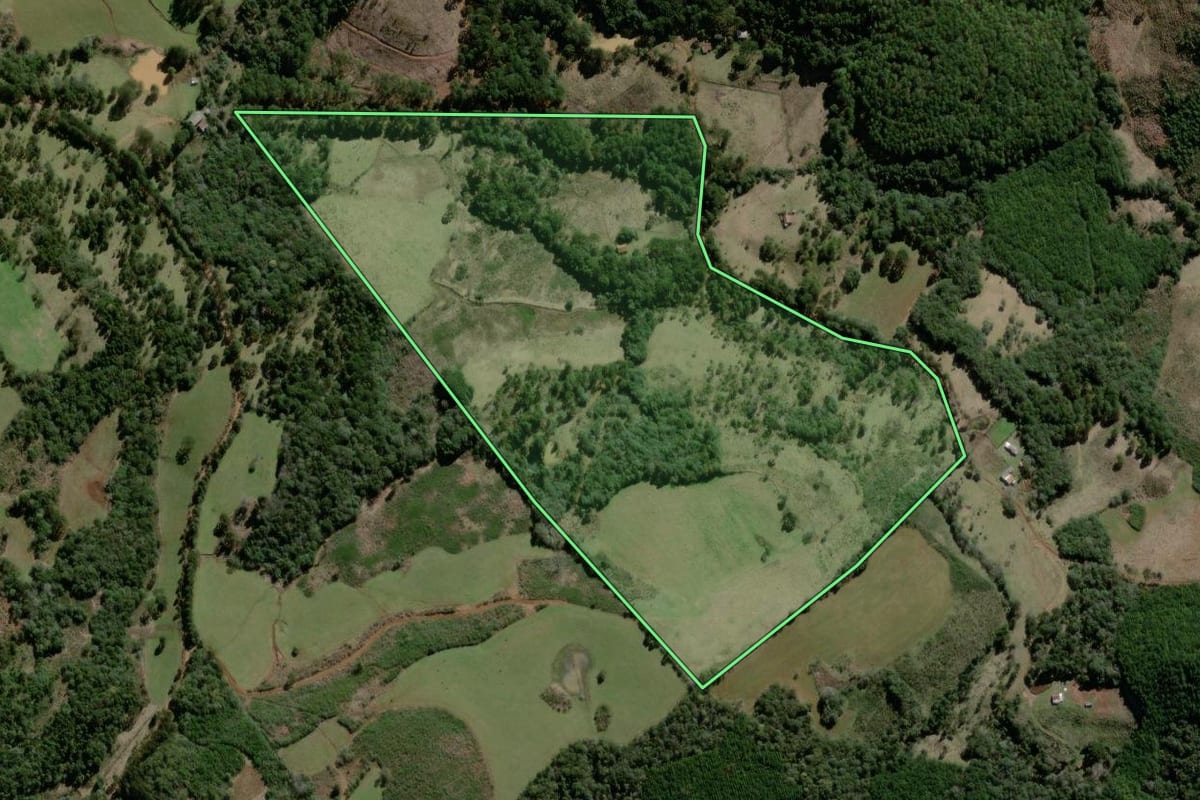 Imagem de satélite do imóvel rural em Campo Belo do Sul (SC), com o contorno declarado no CAR desenhado por cima.