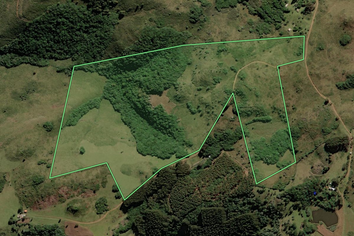 Imagem de satélite do imóvel rural em Campo Belo do Sul (SC), com o contorno declarado no CAR desenhado por cima.