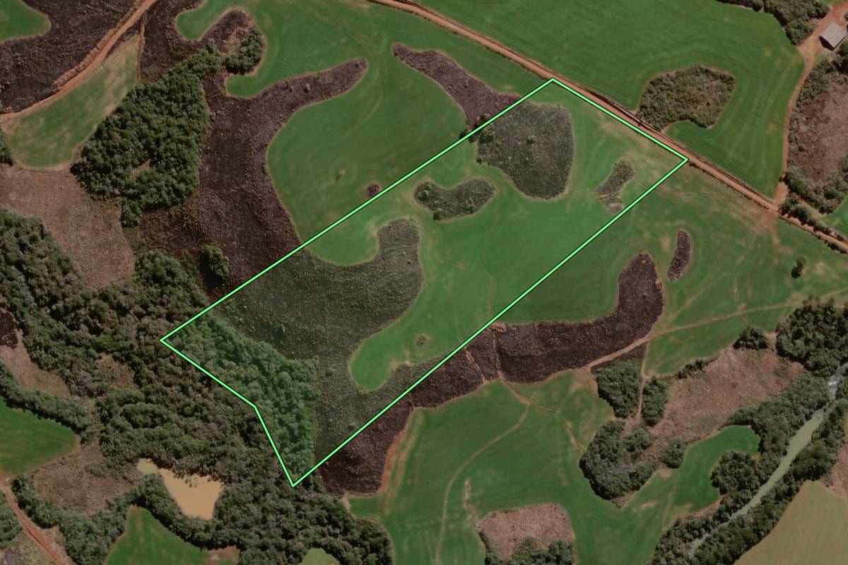 Imagem de satélite do imóvel rural em Campo Belo do Sul (SC), com o contorno declarado no CAR desenhado por cima.