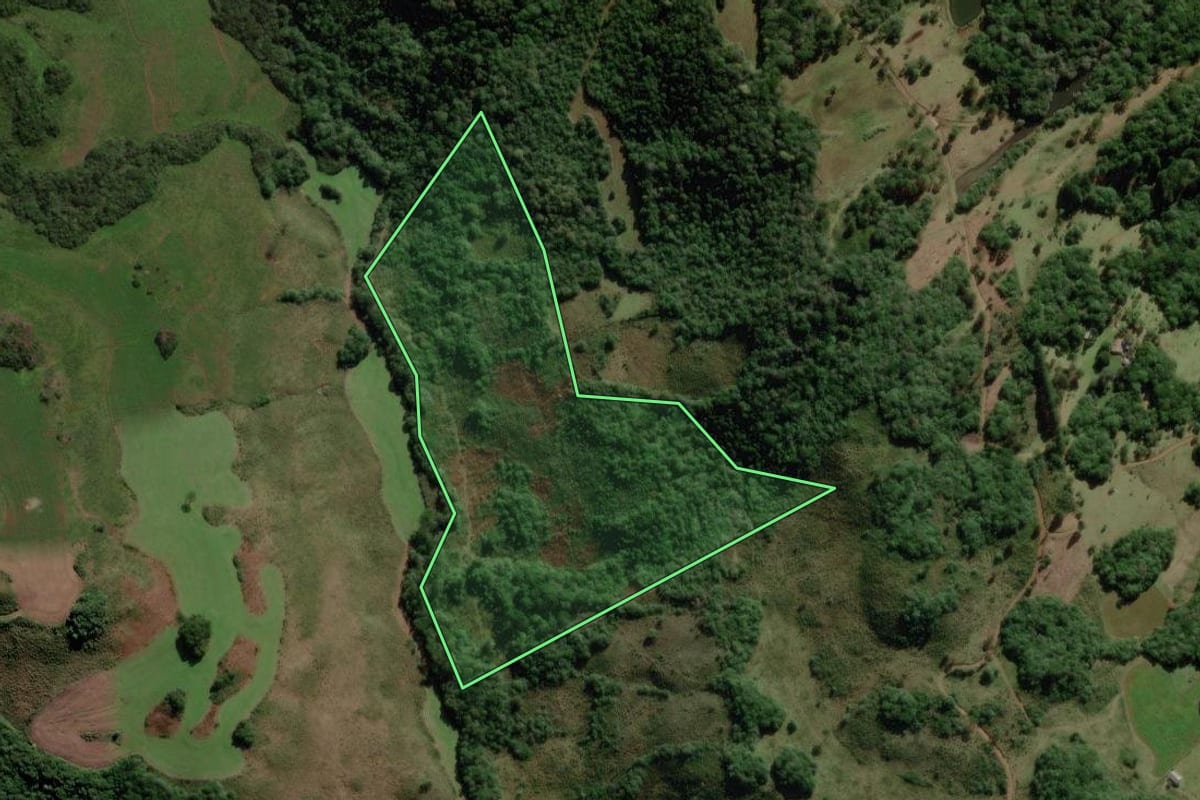 Imagem de satélite do imóvel rural em Campo Belo do Sul (SC), com o contorno declarado no CAR desenhado por cima.