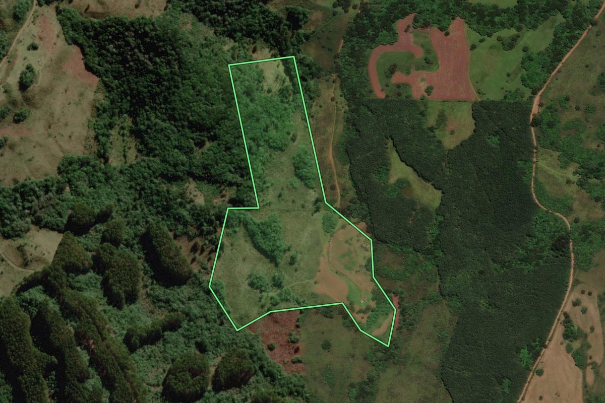 Imagem de satélite do imóvel rural em Campo Belo do Sul (SC), com o contorno declarado no CAR desenhado por cima.