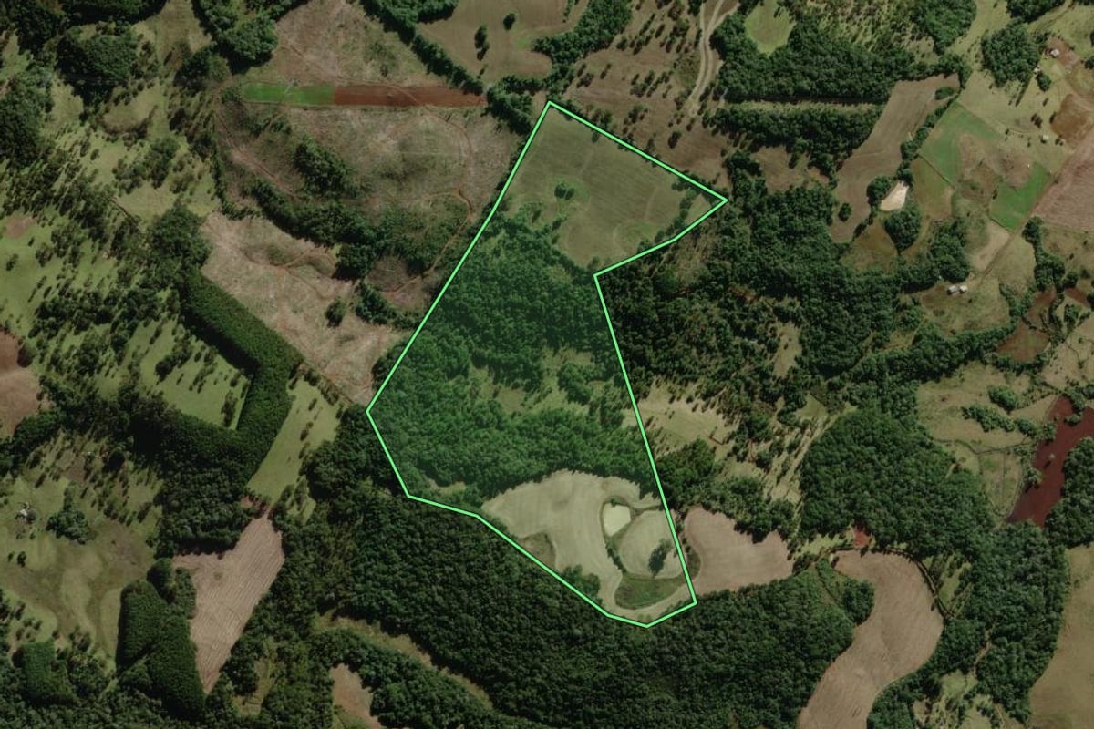 Imagem de satélite do imóvel rural em Campo Belo do Sul (SC), com o contorno declarado no CAR desenhado por cima.