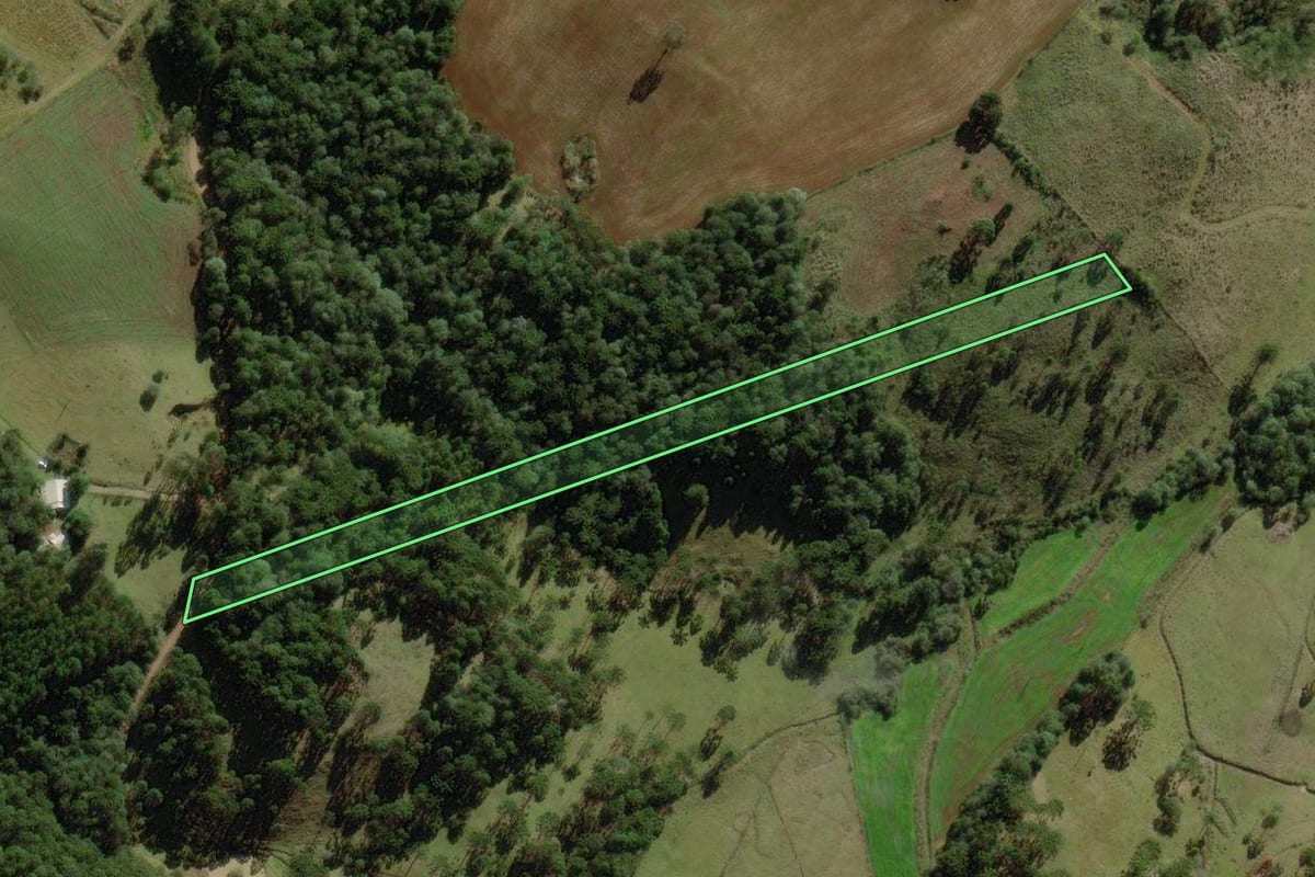 Imagem de satélite do imóvel rural em Campo Belo do Sul (SC), com o contorno declarado no CAR desenhado por cima.