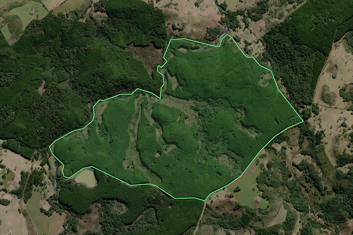 Imagem de satélite do imóvel rural em Campo Belo do Sul (SC), com o contorno declarado no CAR desenhado por cima.