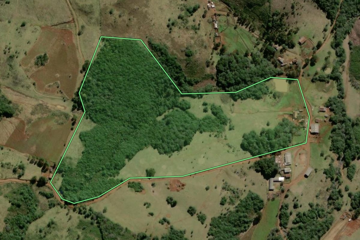 Imagem de satélite do imóvel rural em Campo Belo do Sul (SC), com o contorno declarado no CAR desenhado por cima.