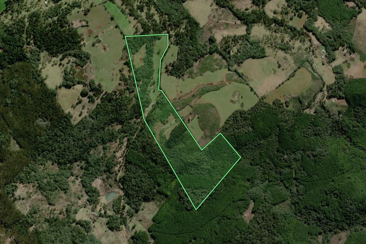 Imagem de satélite do imóvel rural em Campo Belo do Sul (SC), com o contorno declarado no CAR desenhado por cima.