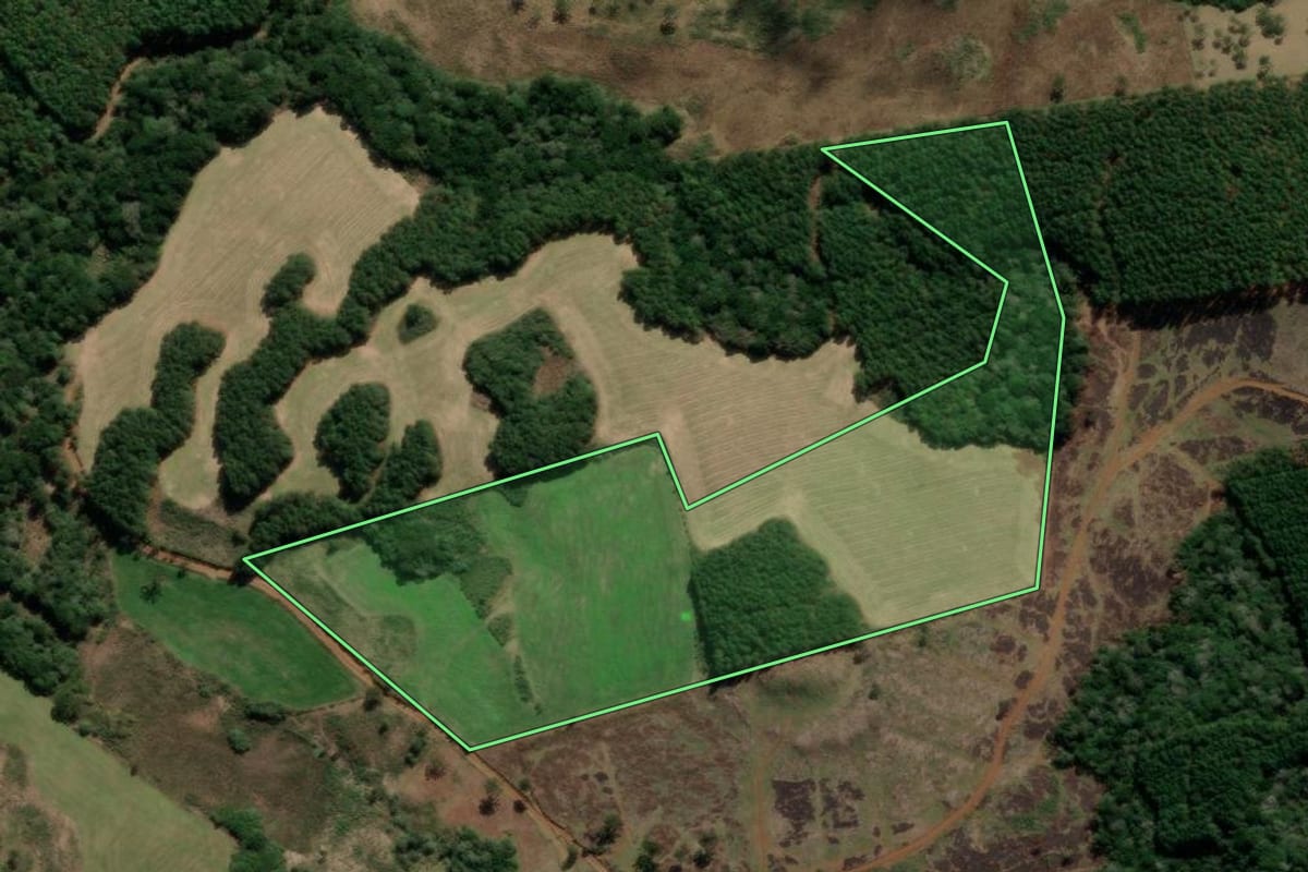 Imagem de satélite do imóvel rural em Campo Belo do Sul (SC), com o contorno declarado no CAR desenhado por cima.