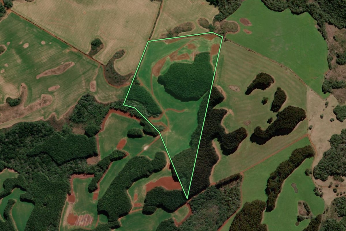 Imagem de satélite do imóvel rural em Campo Belo do Sul (SC), com o contorno declarado no CAR desenhado por cima.
