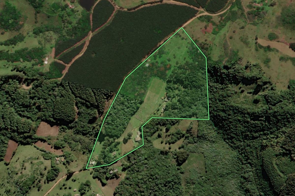 Imagem de satélite do imóvel rural em Campo Belo do Sul (SC), com o contorno declarado no CAR desenhado por cima.