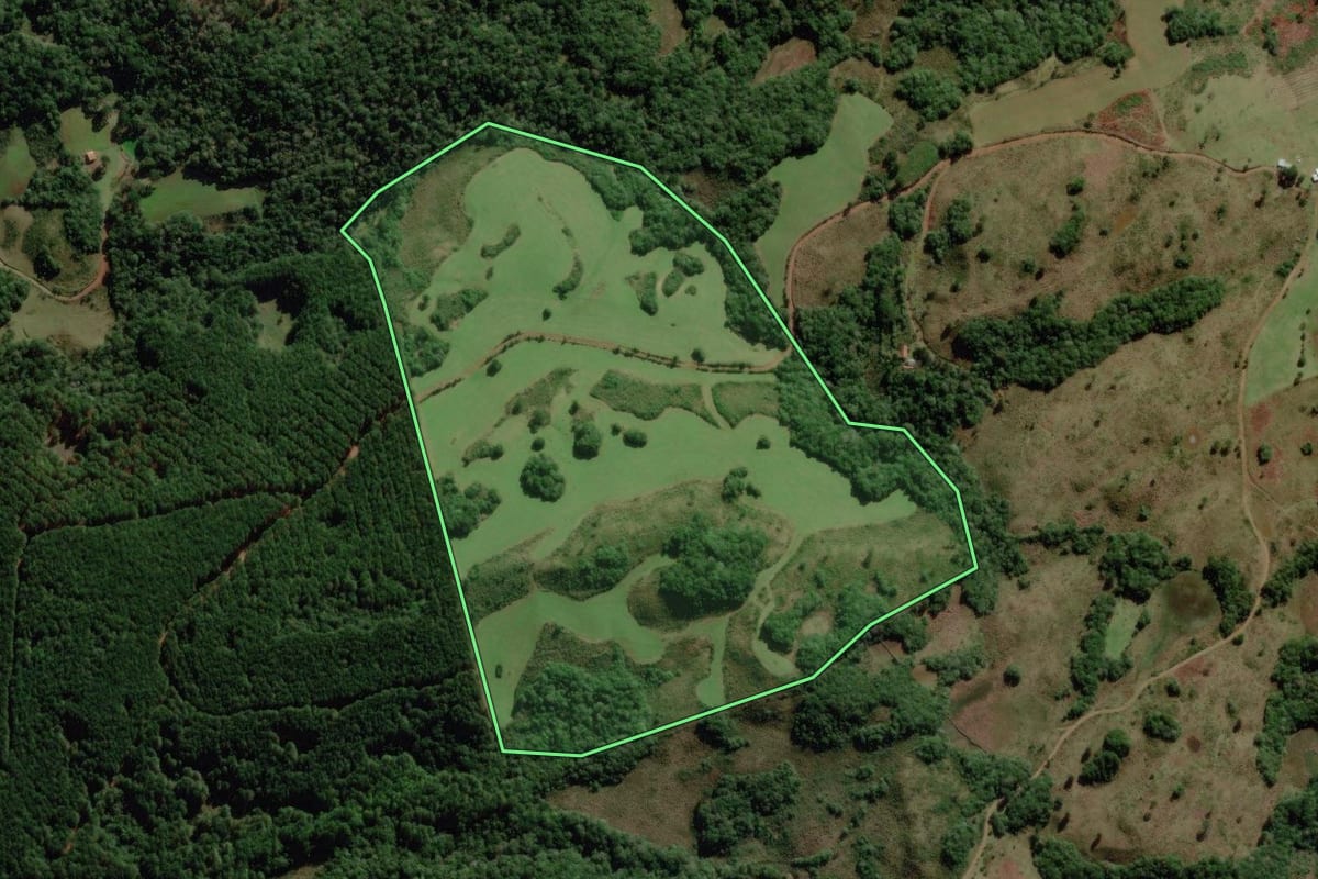 Imagem de satélite do imóvel rural em Campo Belo do Sul (SC), com o contorno declarado no CAR desenhado por cima.