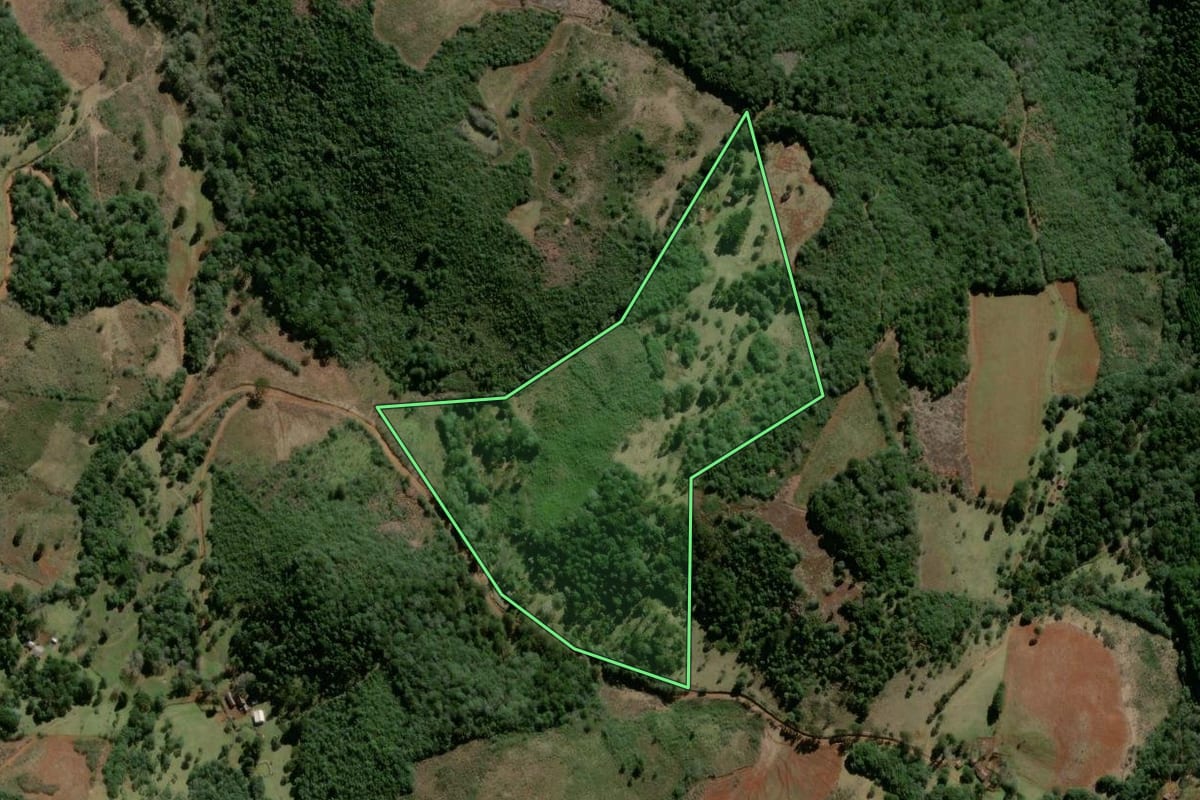 Imagem de satélite do imóvel rural em Campo Belo do Sul (SC), com o contorno declarado no CAR desenhado por cima.