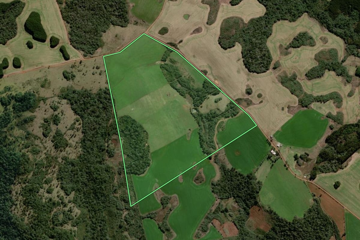 Imagem de satélite do imóvel rural em Campo Belo do Sul (SC), com o contorno declarado no CAR desenhado por cima.