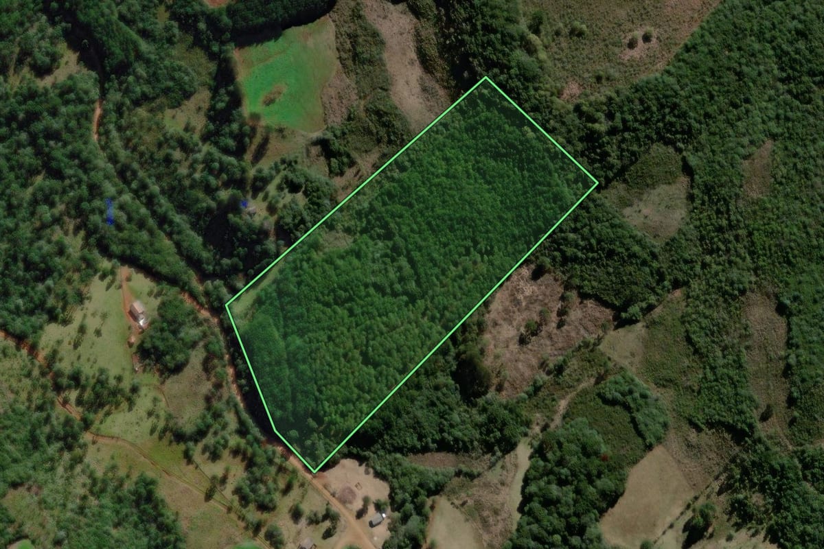 Imagem de satélite do imóvel rural em Campo Belo do Sul (SC), com o contorno declarado no CAR desenhado por cima.