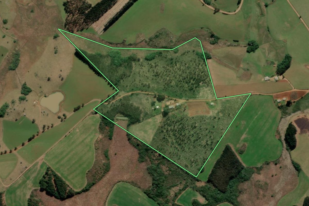 Imagem de satélite do imóvel rural em Campo Belo do Sul (SC), com o contorno declarado no CAR desenhado por cima.
