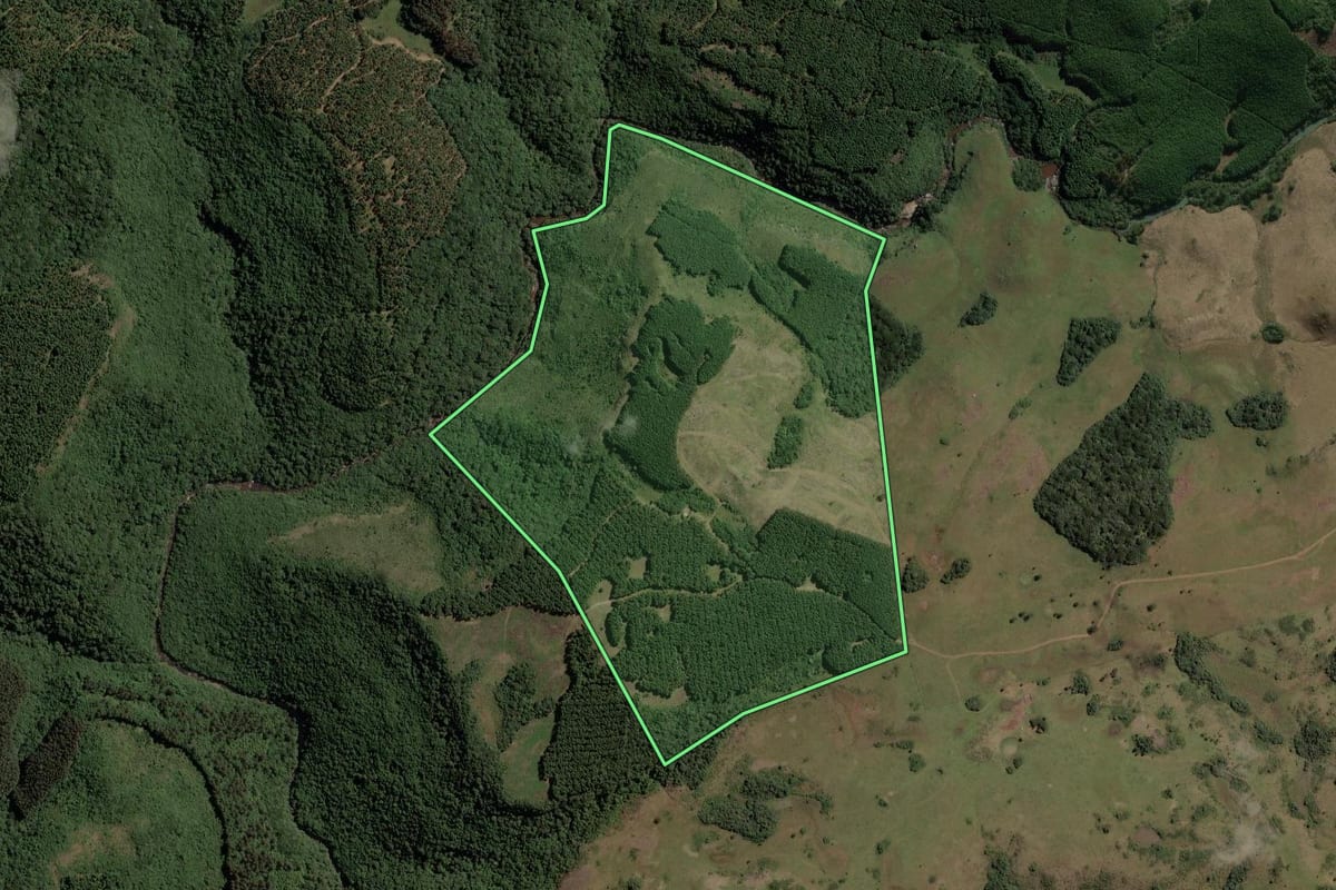 Imagem de satélite do imóvel rural em Campo Belo do Sul (SC), com o contorno declarado no CAR desenhado por cima.