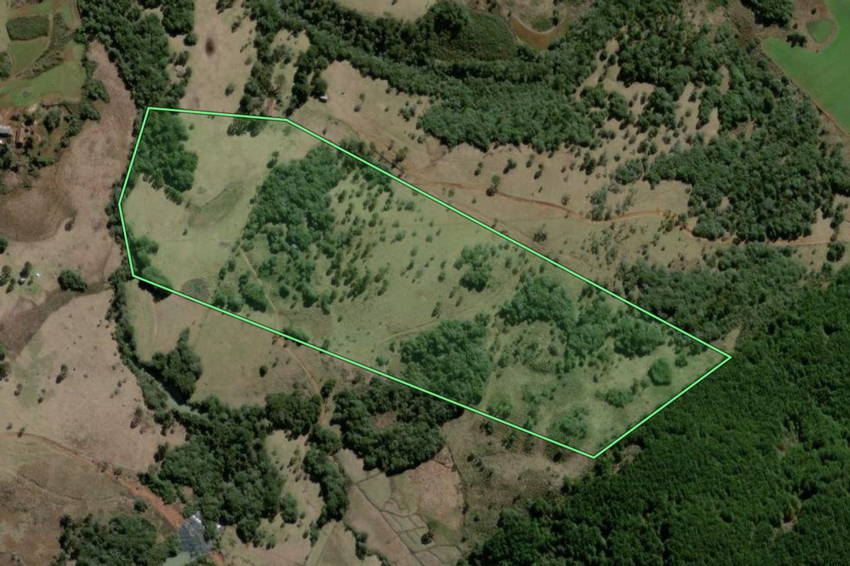 Imagem de satélite do imóvel rural em Campo Belo do Sul (SC), com o contorno declarado no CAR desenhado por cima.