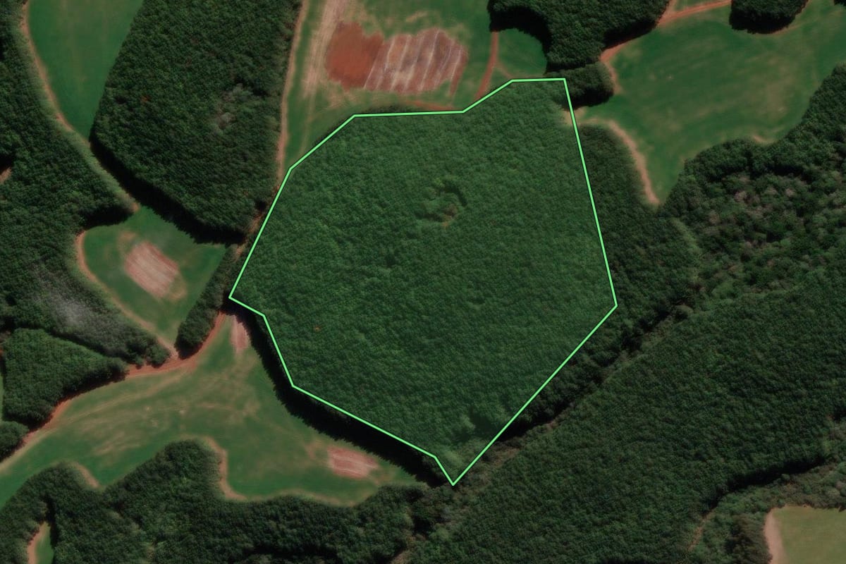 Imagem de satélite do imóvel rural em Campo Belo do Sul (SC), com o contorno declarado no CAR desenhado por cima.