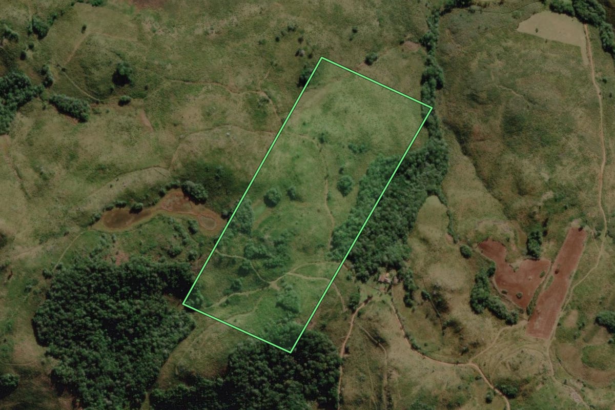 Imagem de satélite do imóvel rural em Campo Belo do Sul (SC), com o contorno declarado no CAR desenhado por cima.