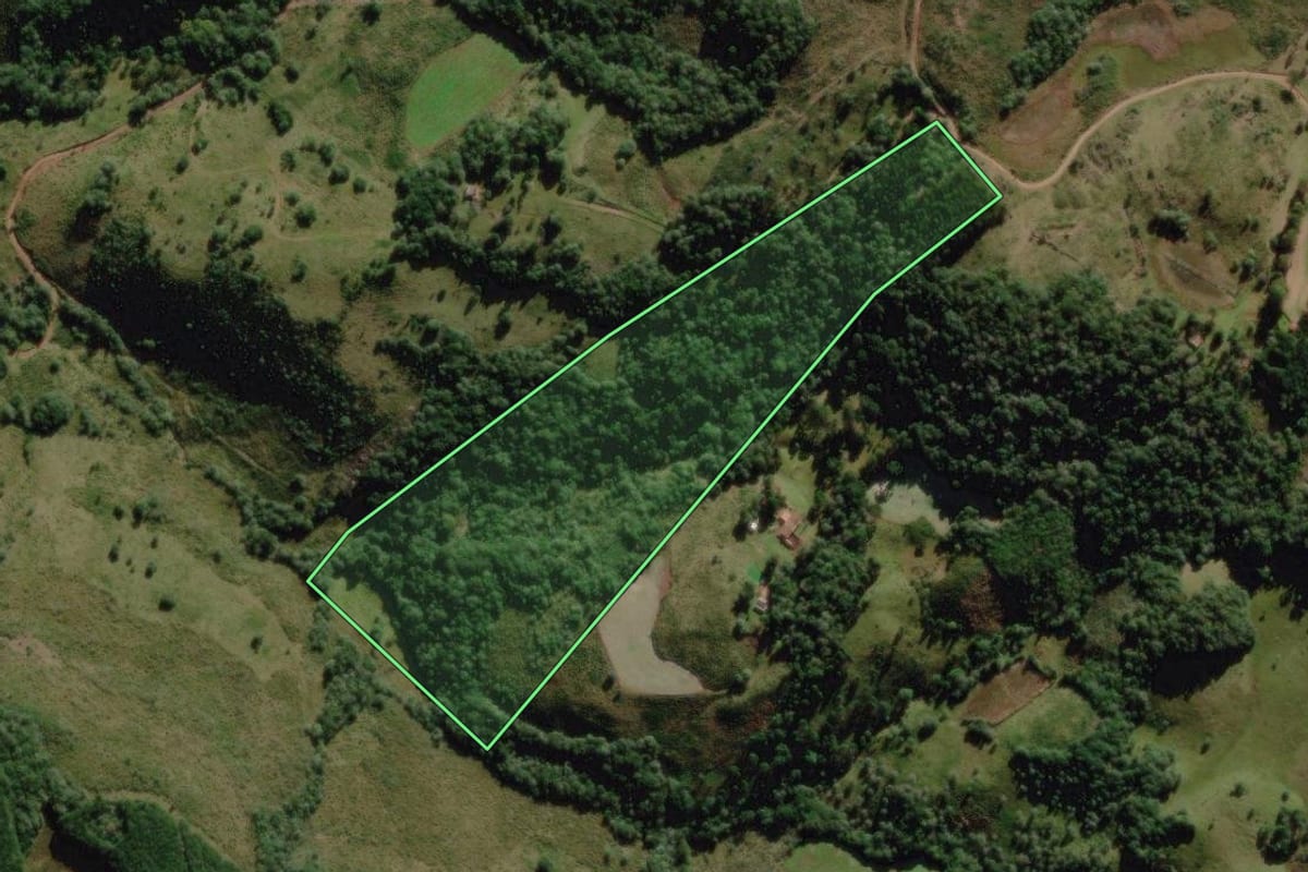 Imagem de satélite do imóvel rural em Campo Belo do Sul (SC), com o contorno declarado no CAR desenhado por cima.