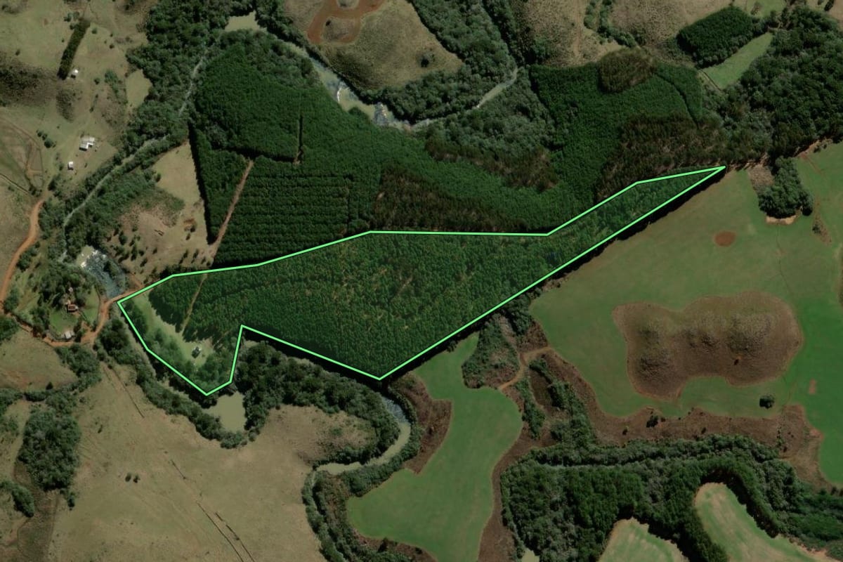 Imagem de satélite do imóvel rural em Campo Belo do Sul (SC), com o contorno declarado no CAR desenhado por cima.
