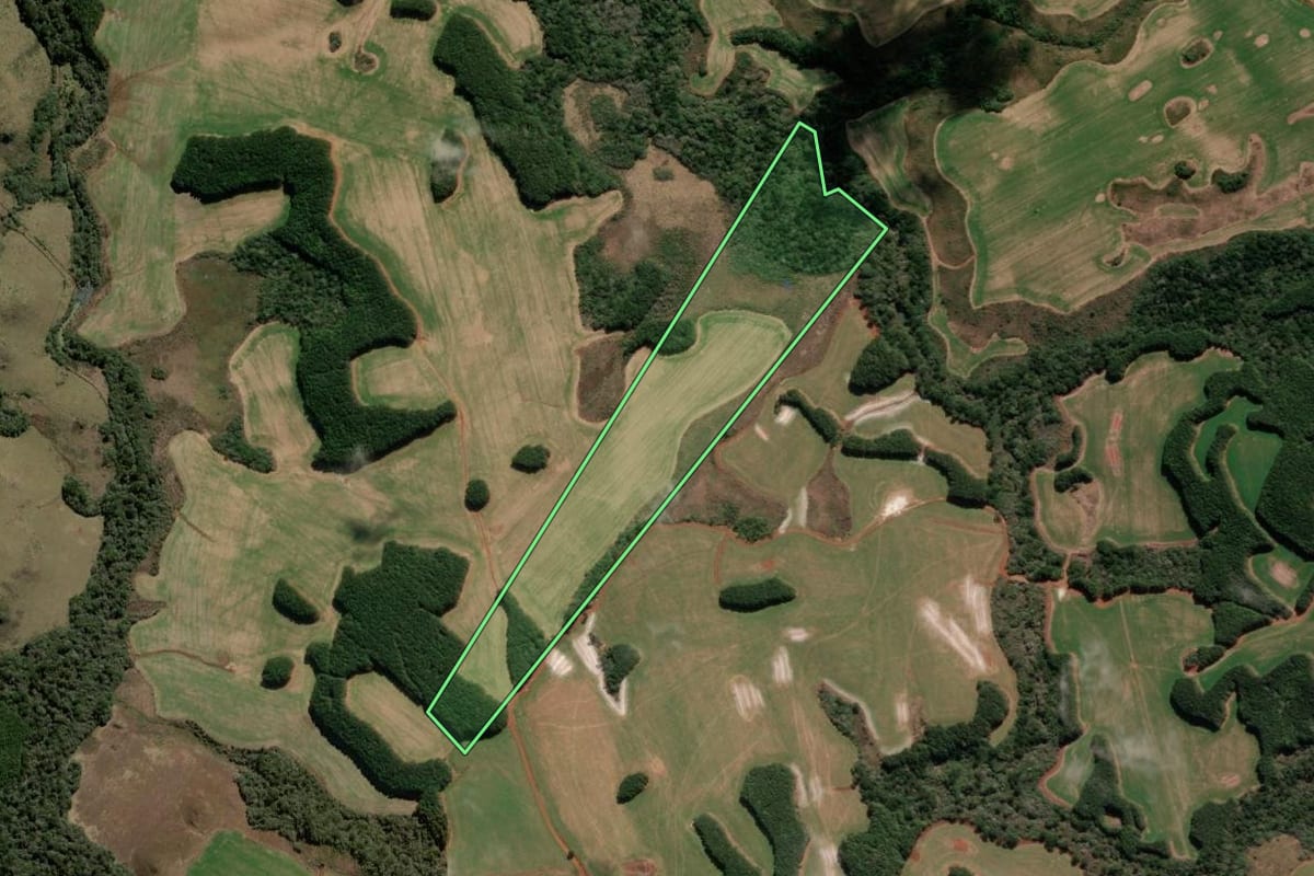 Imagem de satélite do imóvel rural em Campo Belo do Sul (SC), com o contorno declarado no CAR desenhado por cima.
