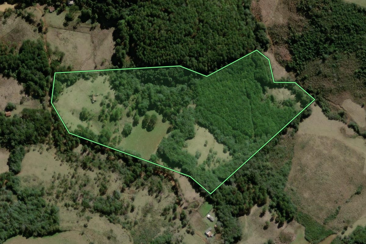 Imagem de satélite do imóvel rural em Campo Belo do Sul (SC), com o contorno declarado no CAR desenhado por cima.