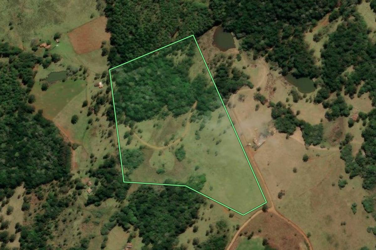 Imagem de satélite do imóvel rural em Campo Belo do Sul (SC), com o contorno declarado no CAR desenhado por cima.